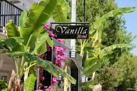 Vanilla - 42