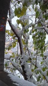 Goreme Valley Cave House - 54