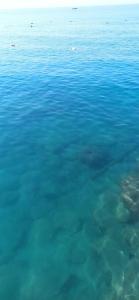 Euphoria Palm Beach Resort - 35