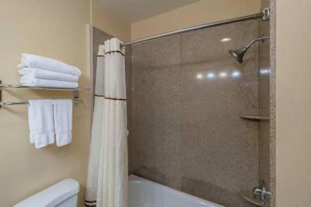 Truckee Donner Lodge - 87