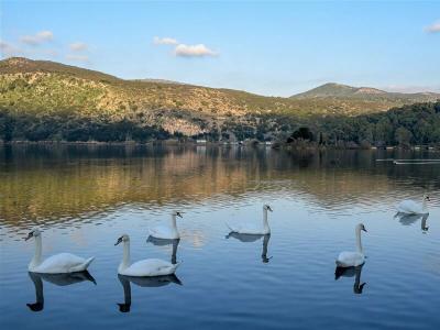 Mouikis Kefalonia - 13