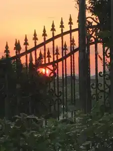 Euro House Inn Airport - 4