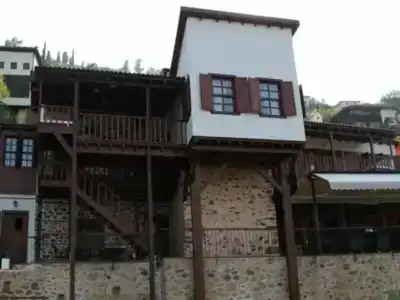 Villa Turka - 43