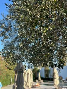 Selectum Luxury Door'a Bodrum - 50