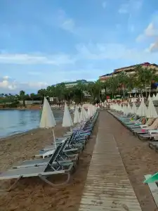 Lonicera Premium - Ultra All Inclusive - 99