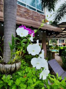 Chivatara Resort Bang Tao Beach Phuket - SHA - 31