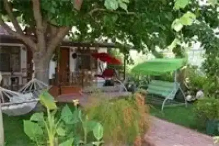 Caretta Caretta Pension - 93