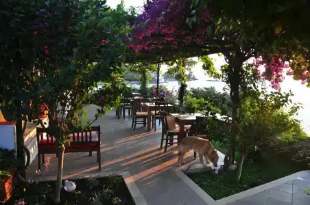 Ece Sovalye Island - 99