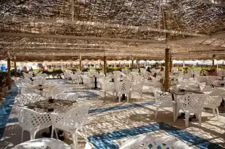 Ali Baba Palace -Families and Couples Only- - 82