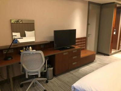 Hilton Garden Inn Istanbul Airport - 6