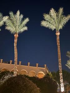 Cleopatra Luxury Resort Sharm El Sheikh - 95