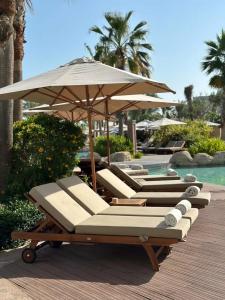 Park Hyatt Abu Dhabi and Villas - 65