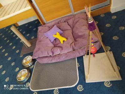 Best Western Plus Konak - 69