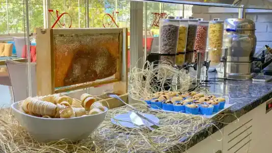 Best Western Plus Khan - 83