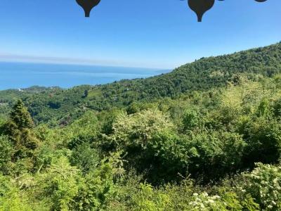 Zarha Mountain Resort - 25