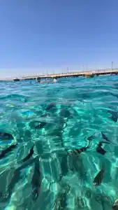 Pyramisa Beach Resort Sahl Hasheesh - 14