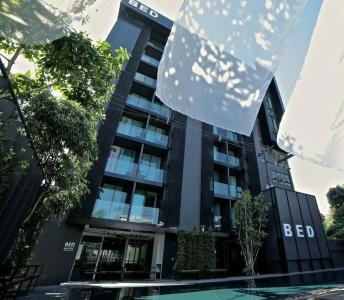 BED Nimman - Adults Only - 4