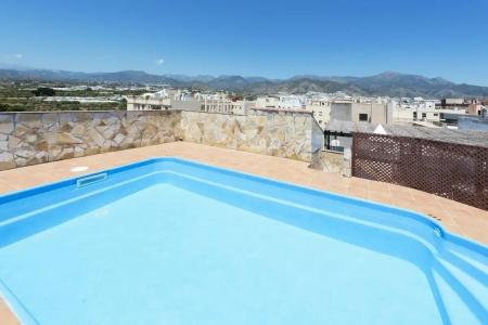 Toboso Chaparil - 75