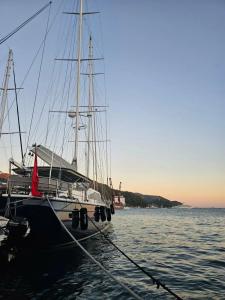 Mert Seaside (Adult only +16) - 11