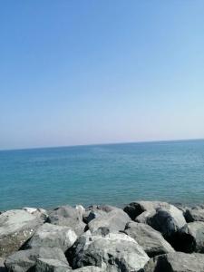 Clifton International - 12