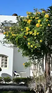 Gafy Resort Aqua Park - 97