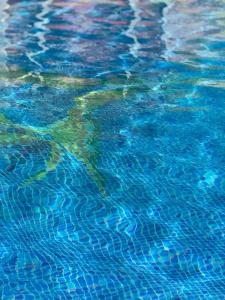 Swissôtel Al Murooj Dubai - 49