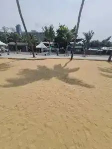 Basaya Beach & Resort - 52