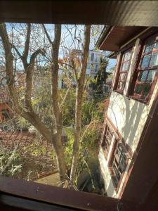Tuvana - 66