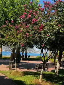 ALANYA RISUS PARK - 20