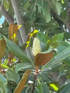 Akka Antedon - Premium Ultra All Inclusive - 97