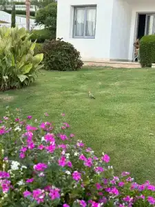 Sunrise Diamond Beach Resort -Grand Select - 99