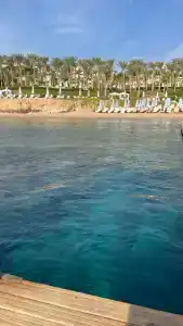 Four Seasons Resort Sharm El Sheikh - 80