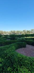 Waldorf Astoria Dubai Palm Jumeirah - 29