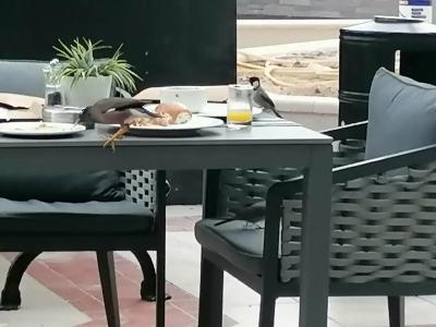 Ramada by Wyndham Downtown Dubai - 56