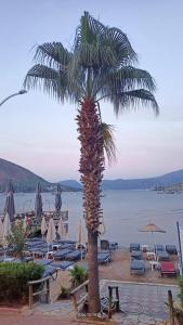 MARBAS SELECT BEACH , Adult Only 14 Plus - 55