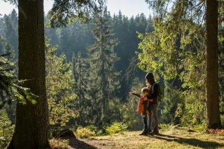 Holiday Inn - Villingen - Schwenningen, an IHG - 18