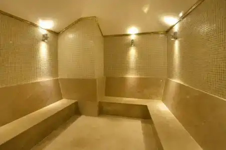 Black Bird Thermal & SPA - 83