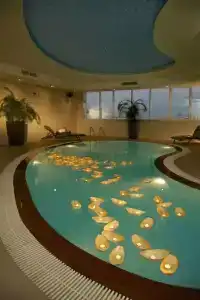 Cristal Abu Dhabi - 27