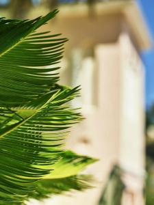 Bel-Air - Dorchester Collection - 36