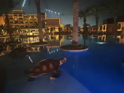 Saadiyat Rotana Resort and Villas - 90