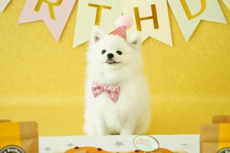 Holiday Inn Express - Times Square South, an IHG - 14