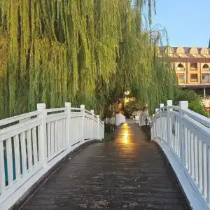 Crystal Prestige Elite - 5