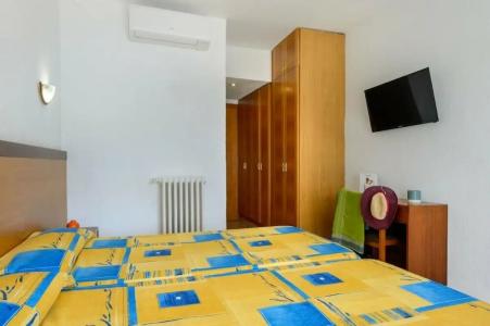 Vibra Palma Cactus - 79