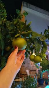 1207 Special Class - 42