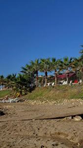 Kolibri - All Inclusive - 52