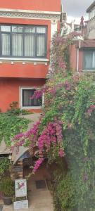 Avicenna Sultanahmet - 50