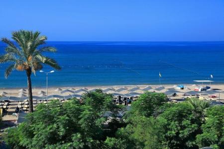 Club Cactus Paradise - 43