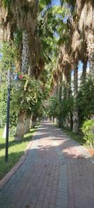 Sealife Buket Resort & Beach - 77