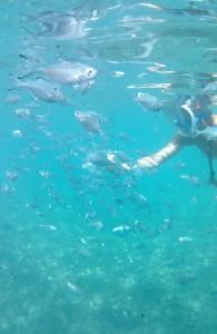 Queen's Park Le Jardin - 70