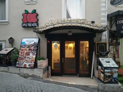 Apple Tree - 4